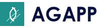 AG电竞平台 - 正版官方入口与快速访问页
