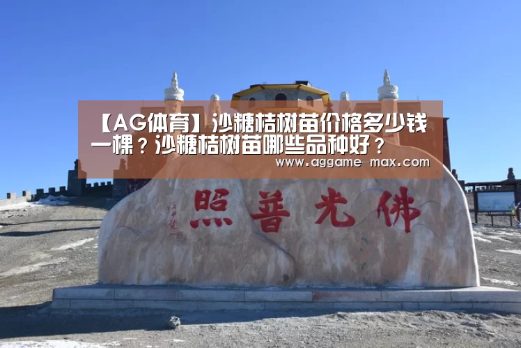 【AG体育】沙糖桔树苗价格多少钱一棵?沙糖桔树苗哪些品种好?(图2) AG下载
