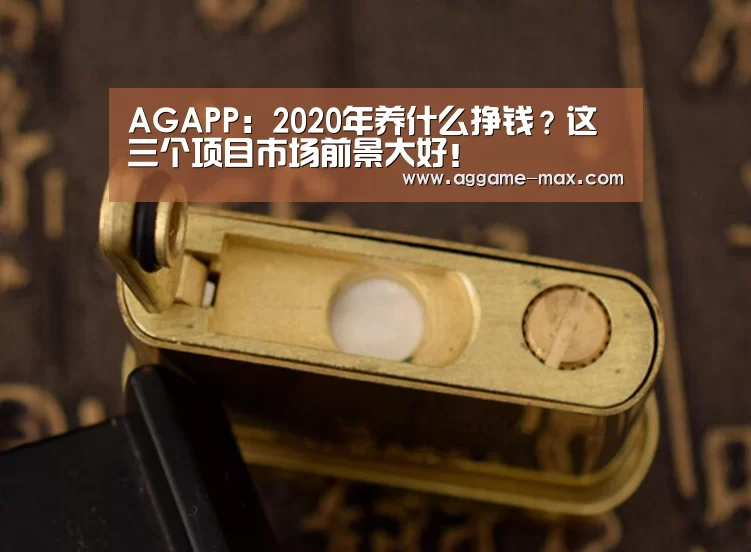 AGAPP：2020年养什么挣钱？这三个项目市场前景大好！(图4)