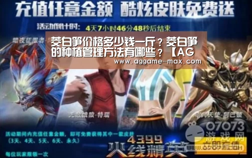 茭白笋价格多少钱一斤?茭白笋的种植管理方法有哪些?【AG体育】(图1) AG下载