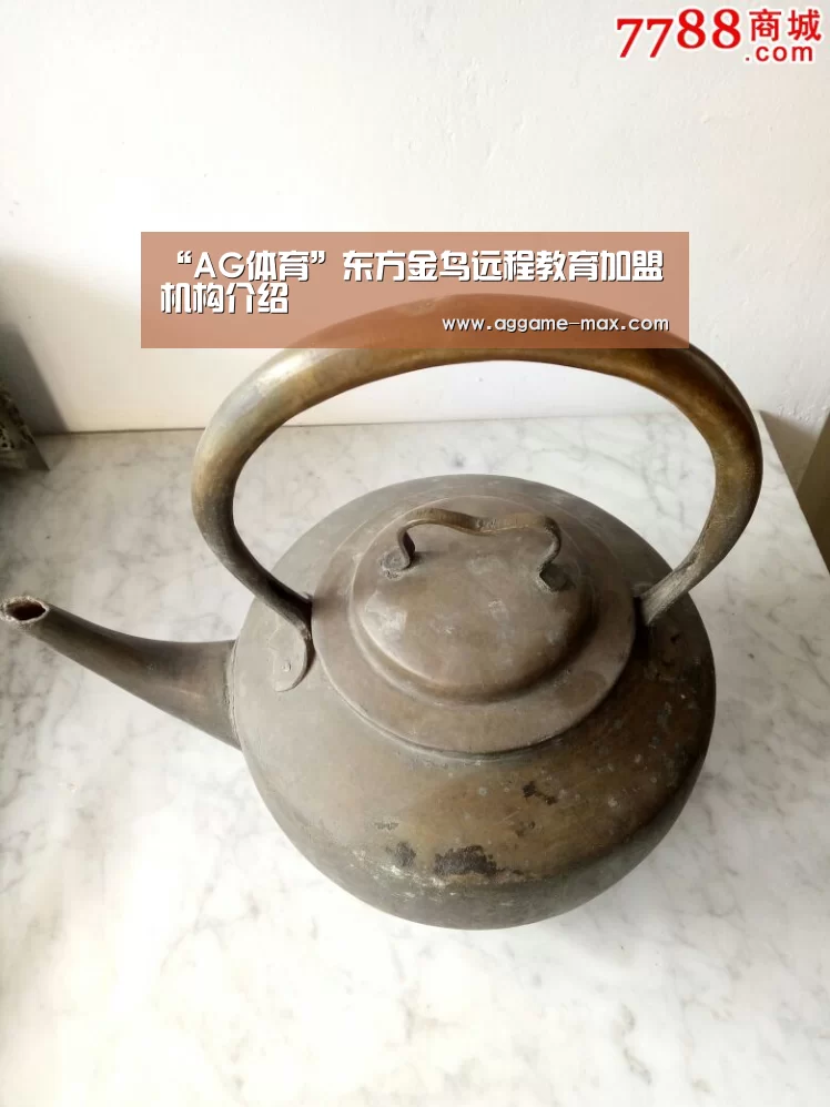 “AG体育”东方金鸟远程教育加盟机构介绍(图3)