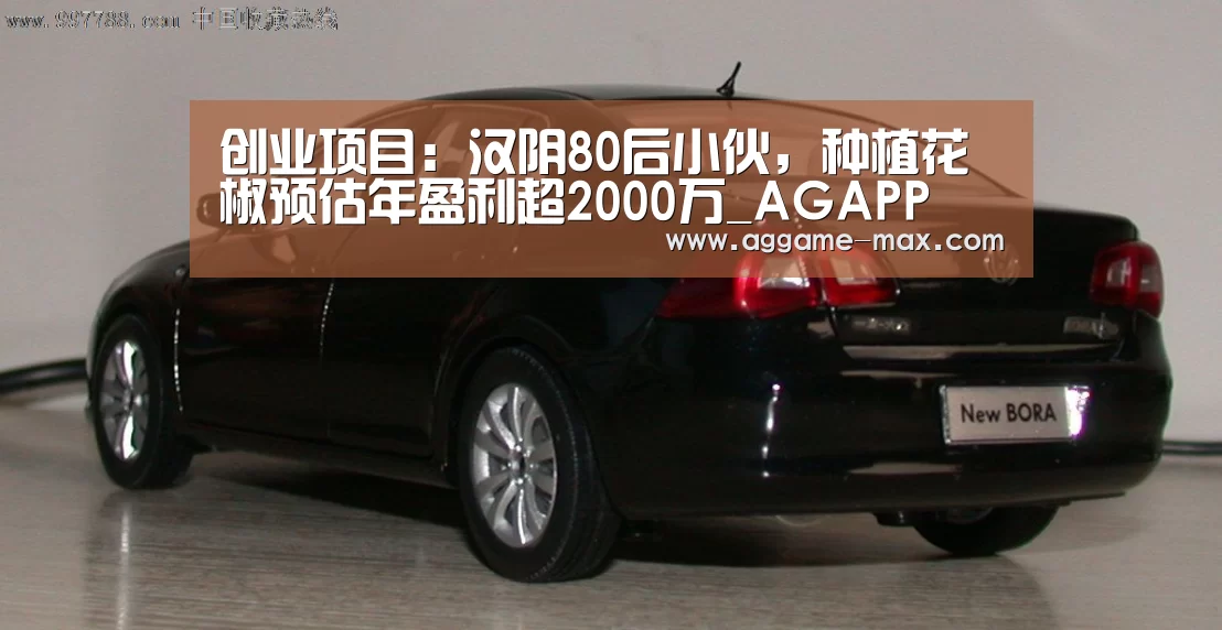 创业项目:汉阴80后小伙,种植花椒预估年盈利超2000万_AGAPP(图1) 创业项目:汉阴80后小伙,种植花椒预估年盈利超2000万_AGAPP(图1)