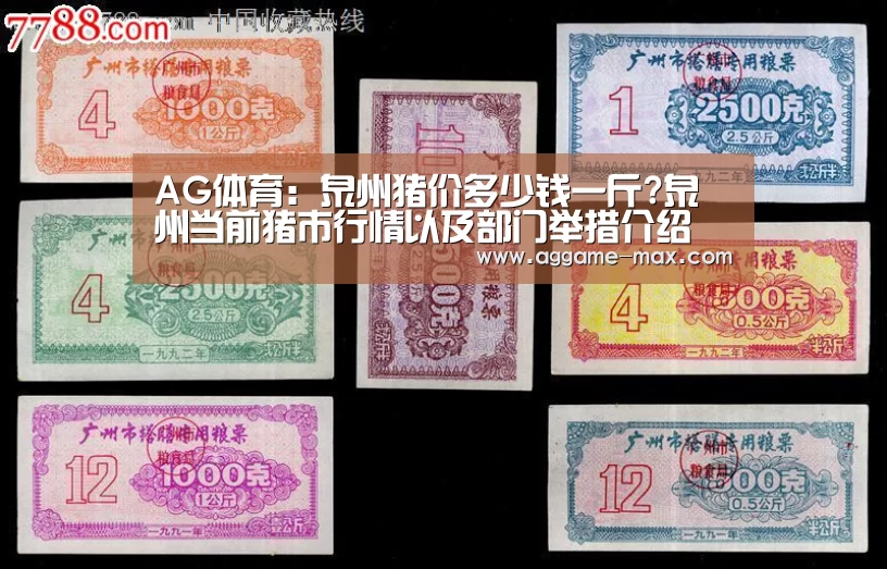 AG体育:泉州猪价多少钱一斤?泉州当前猪市行情以及部门举措介绍(图4) AG官方