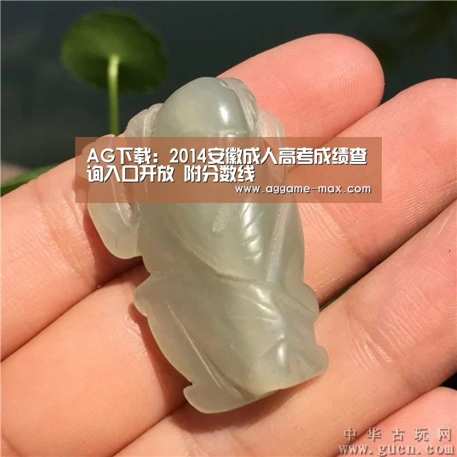 AG下载:2014安徽成人高考成绩查询入口开放 附分数线(图3) AG体育